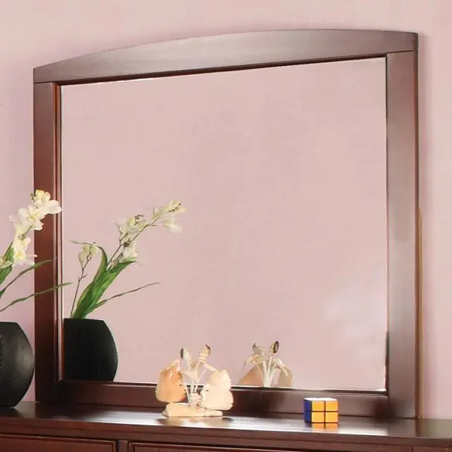 Omnus Cherry Mirror - FOA East