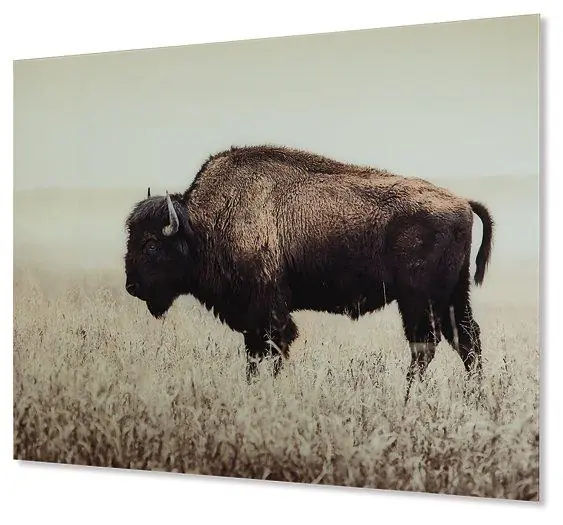 Brutus Wall Art - Ashley Furniture