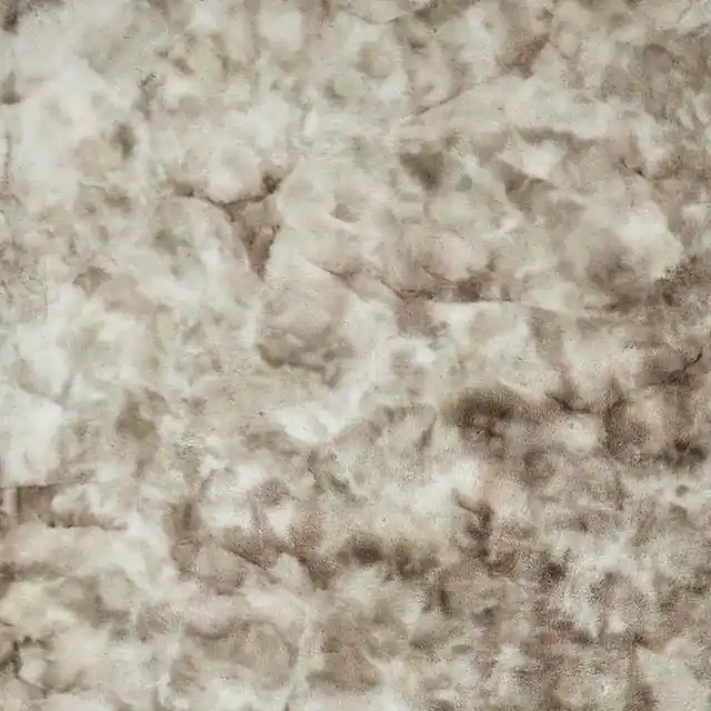 Famalica Area Rug - FOA East