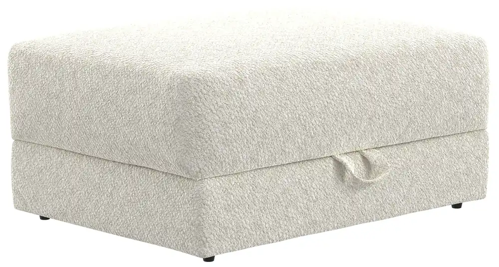 Jazzy Storage Ottoman - Jackson