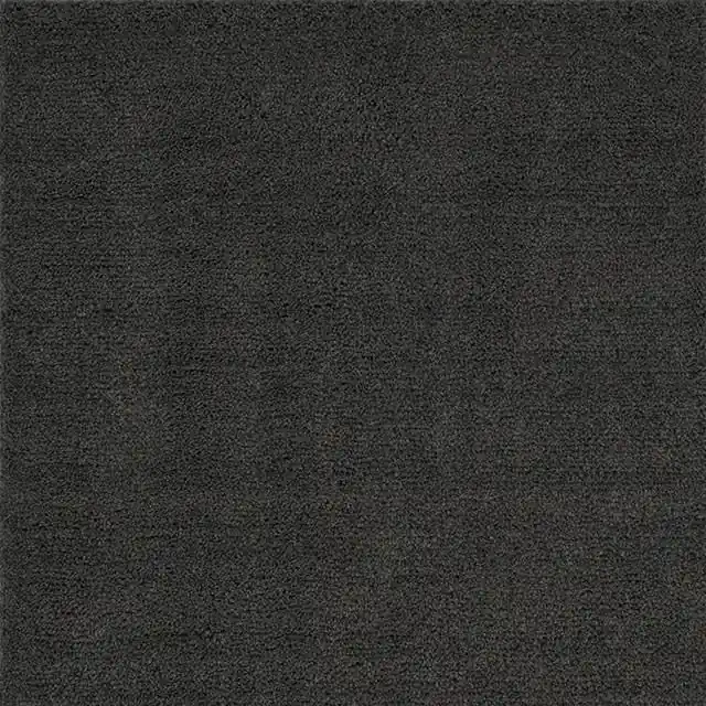 Camara Area Rug - FOA East