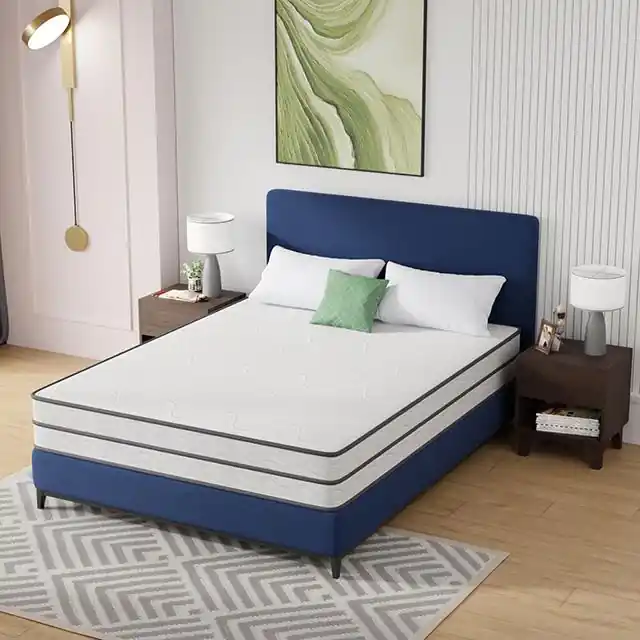 Catmint 10" Queen Innerspring Mattress - FOA East