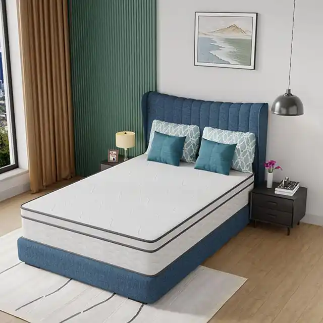 Catmint 12" Full Innerspring Mattress - FOA East