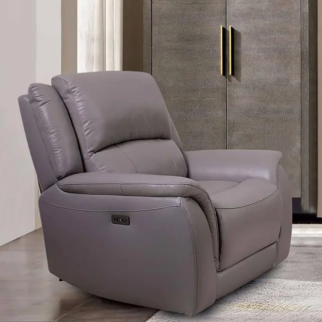 GORGIUS Power Recliner, Light Gray - FOA East