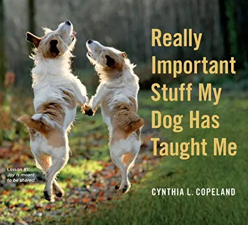 Really Important Stuff My Dog Has Taught Me - Hachette Book Group