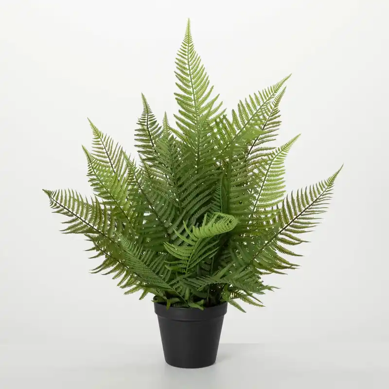 Faux Potted Fern - Sullivans