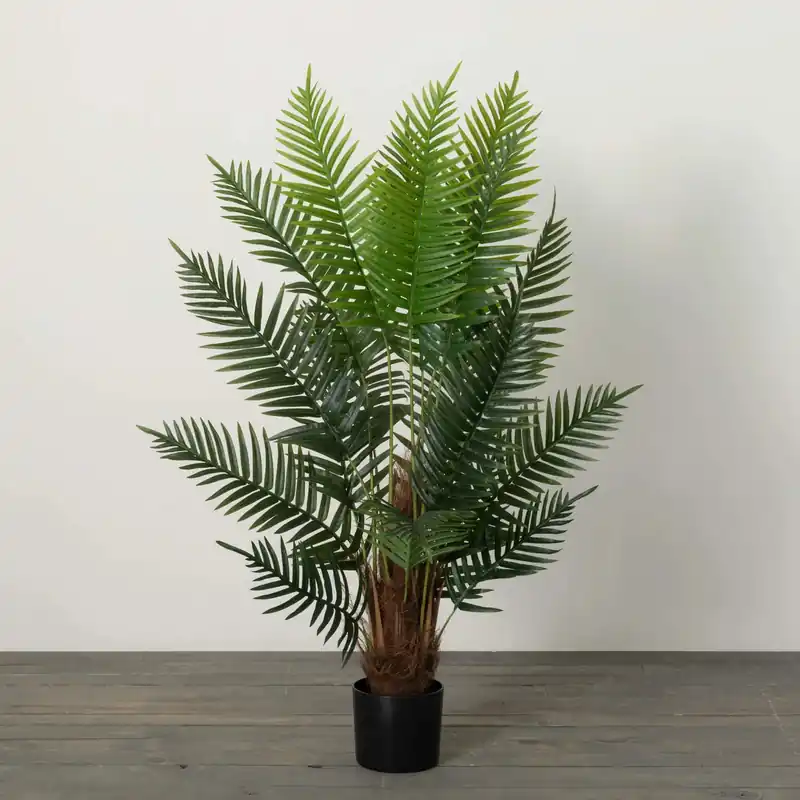 Potted Palm Tree - Sullivans