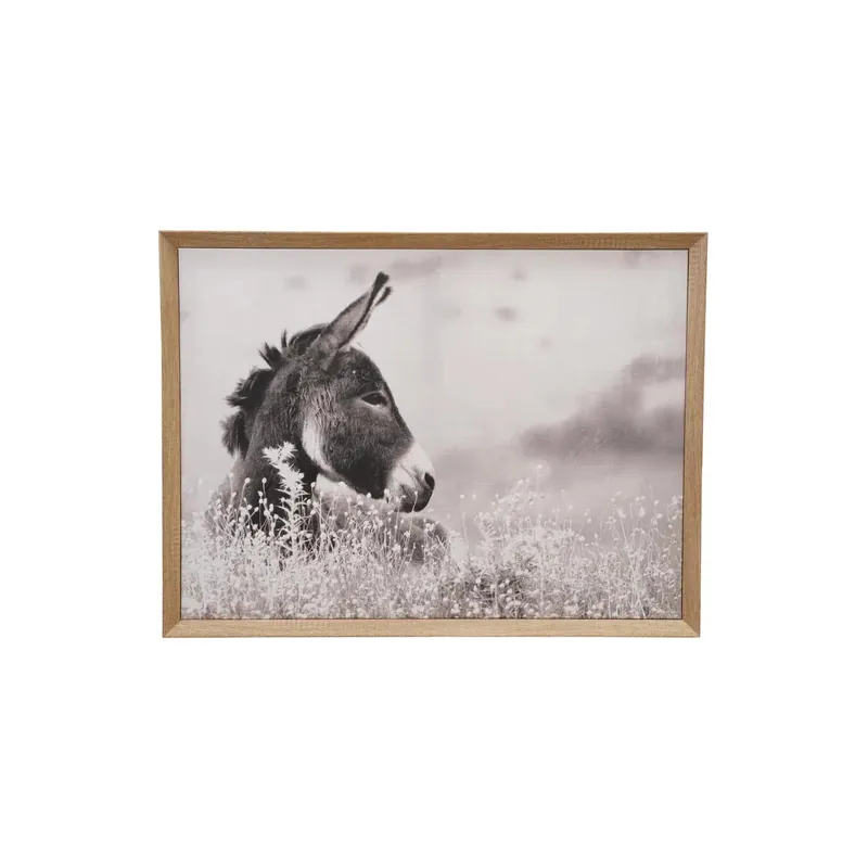MDF Framed Canvas with Donkey Photography - Greenhouse Home