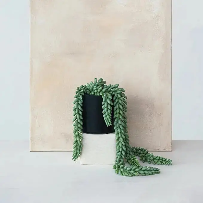 Faux Donkey Tail Potted Plant - Greenhouse Home