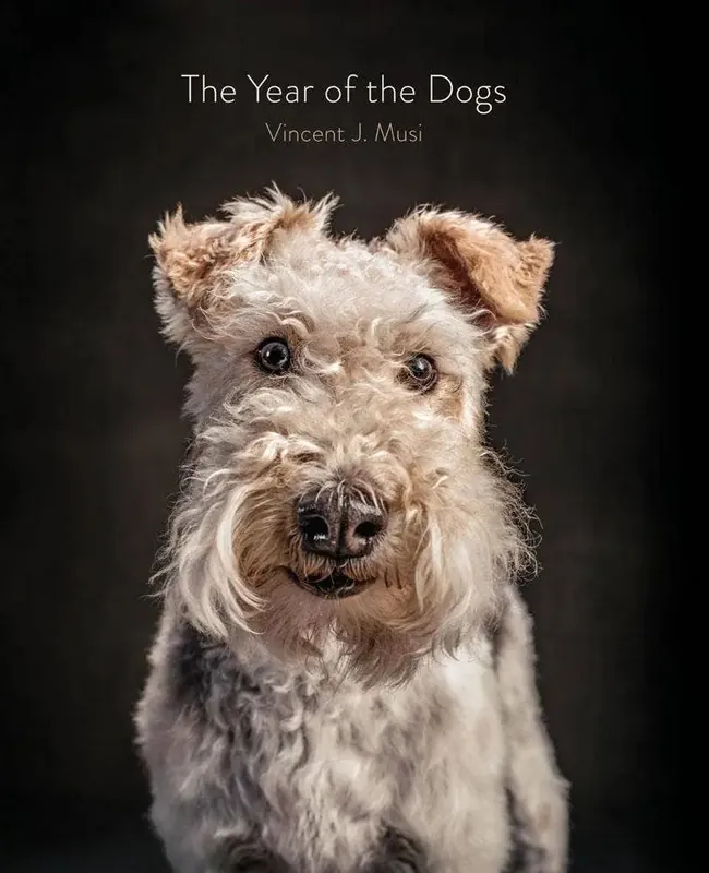 Year of the Dogs - Chronicle Books