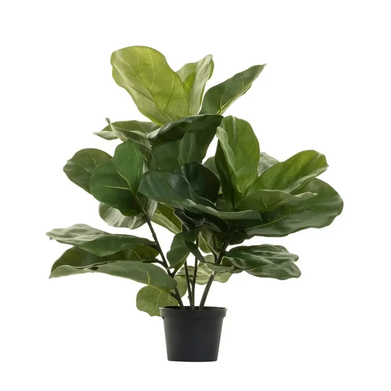Fiddle Leaf Fig Tree - Replica Plants & Decor