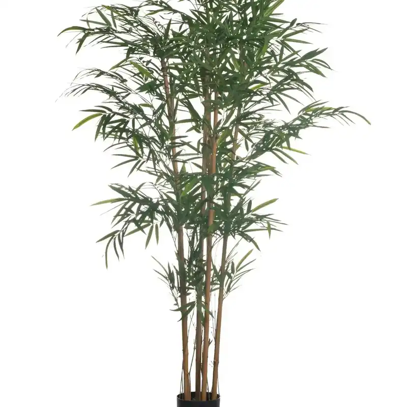 Bamboo Tree with Natural Stocks, 6' - Replica Plants & Decor