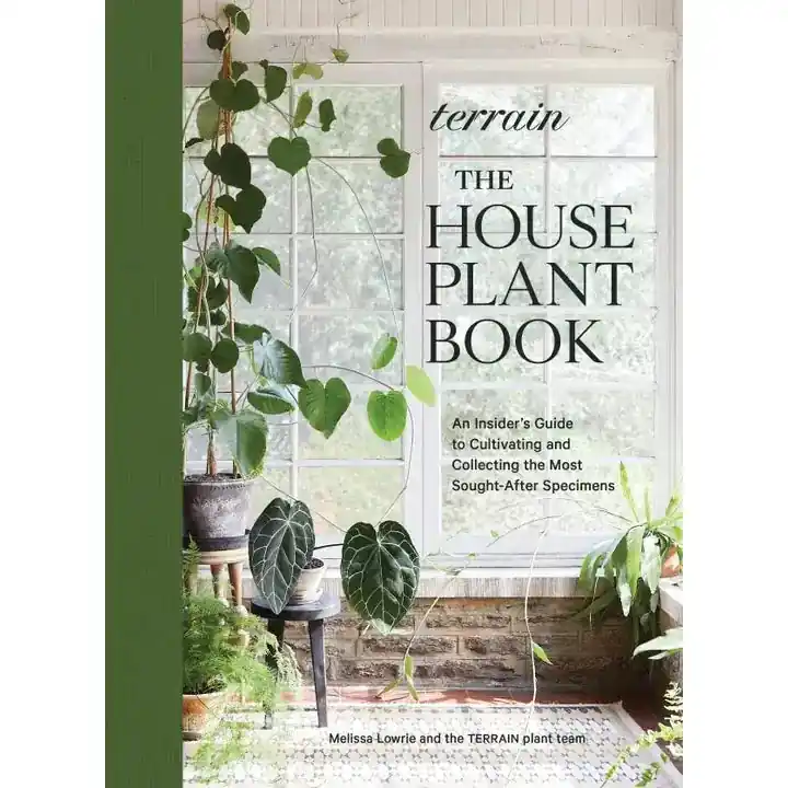 Terrain: the Houseplant Book - Hachette Book Group