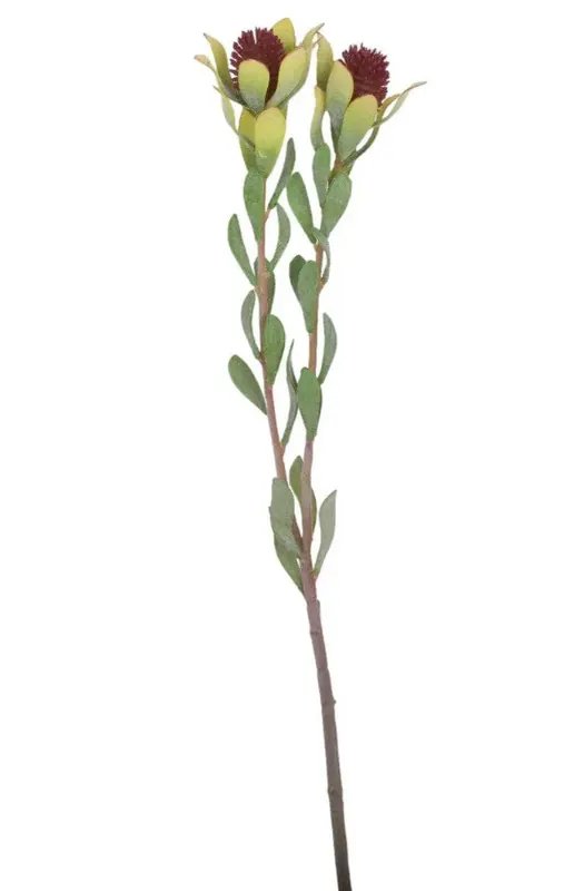 22" Thistle Stem - Replica Plants and Decor