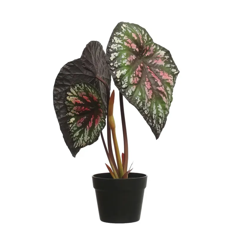 Faux Begonia Plant - Greenhouse Home