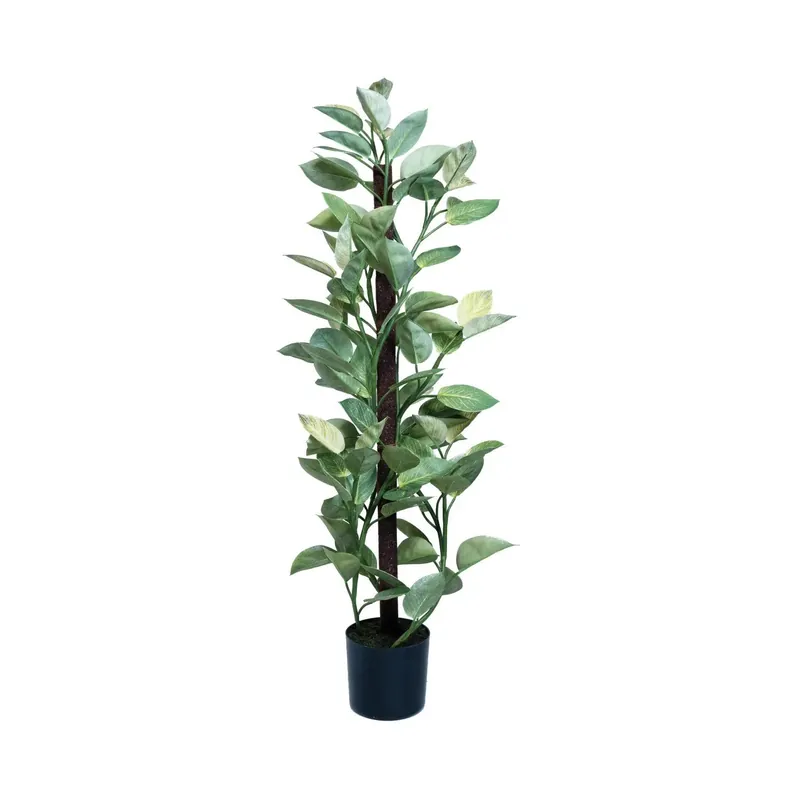Faux Golden Pothos - Greenhouse Home