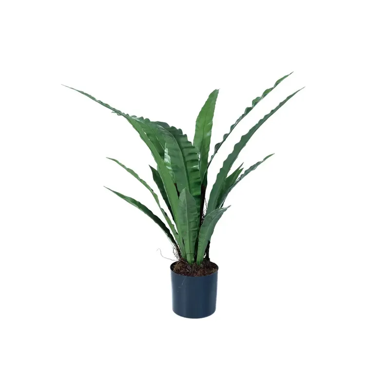 Faux Bird's Nest Fern Plant - Greenhouse Home