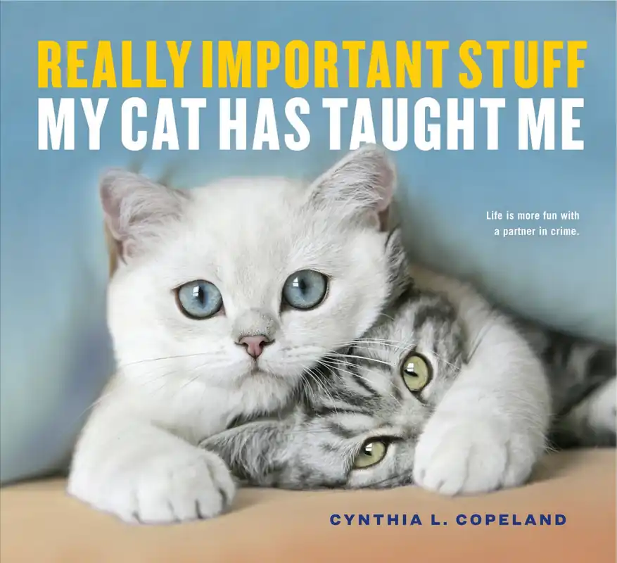 Really Important Stuff My Cat Has Taught Me - Hachette Book Group