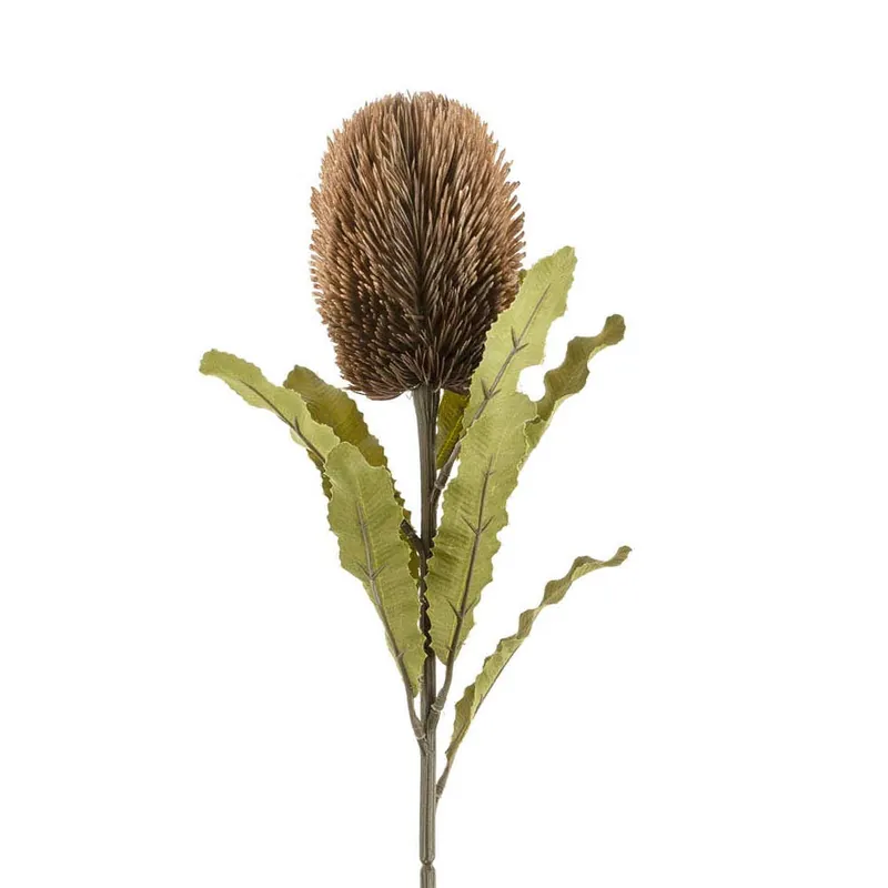 Banksia Floral Stem Brown - Indaba