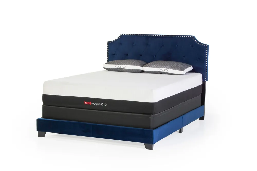 Navy Blue Tufted Headboard Low Profile Panel Bed - Mollai Collections