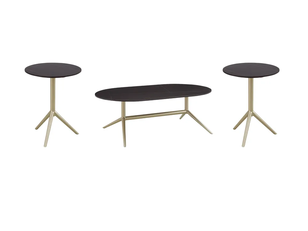 3 PIECE COFFEE TABLE SET - Mollai Collections
