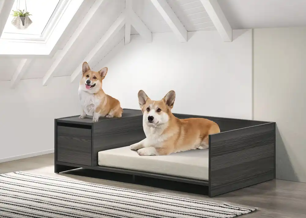Esme - Wide Comfy Pet Bed With Cushion And Side Storage Compartment - Ash Gray