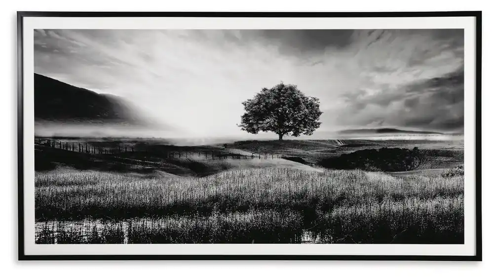 Deborland Wall Art - Ashley Furniture