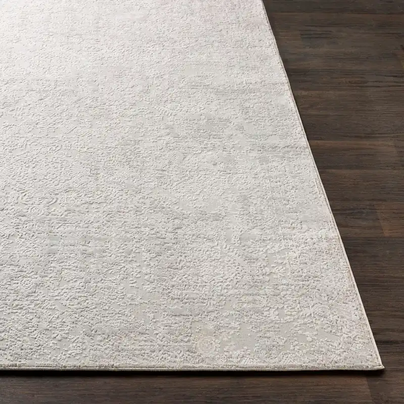 Aisha Machine Woven Rug - Livabliss