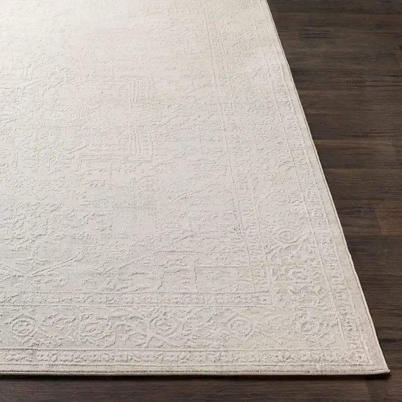 Aisha Machine Woven Rug - Livabliss