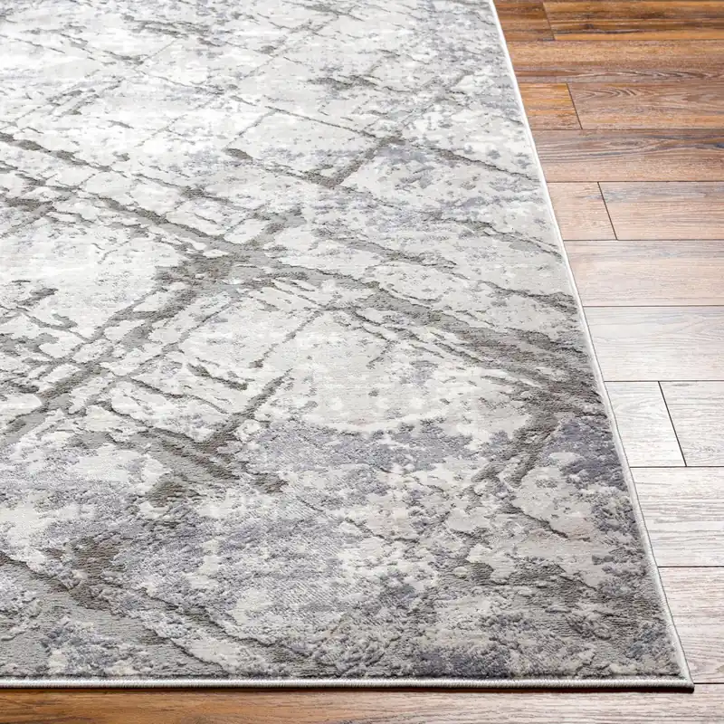 Alamo Machine Woven Rug - Livabliss