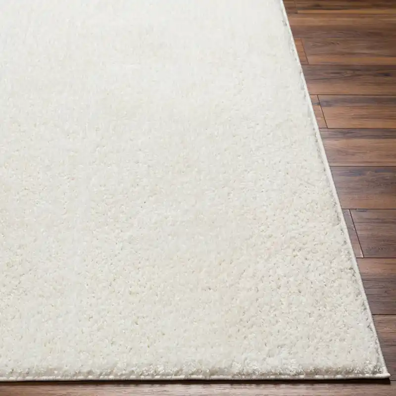 Alfombra Machine Woven Rug - Livabliss