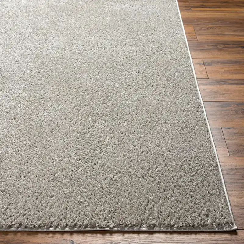 Alfombra Machine Woven Rug - Livabliss