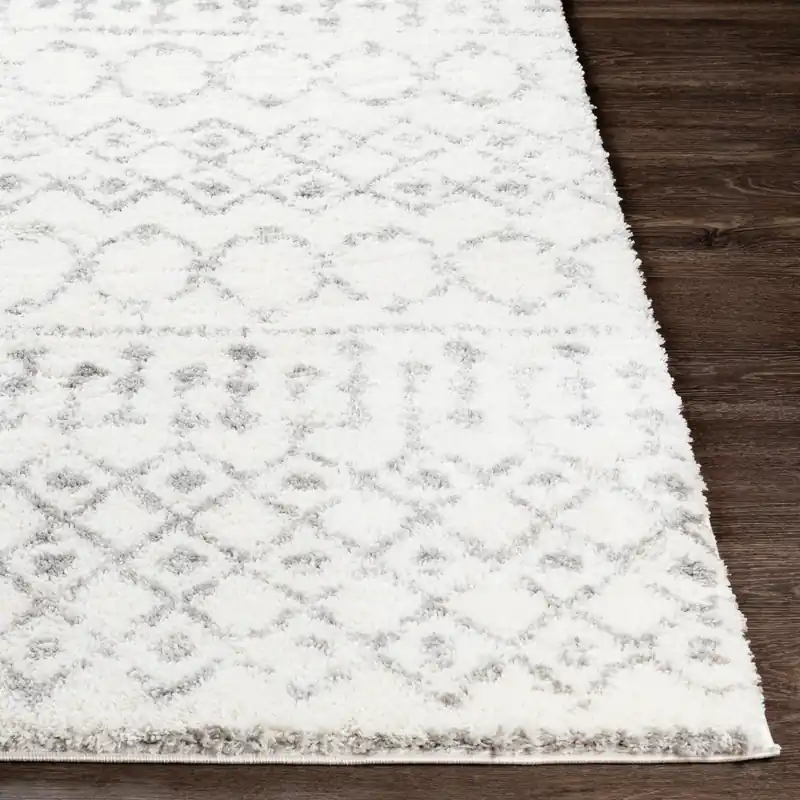 Aliyah Shag Machine Woven Rug - Livabliss