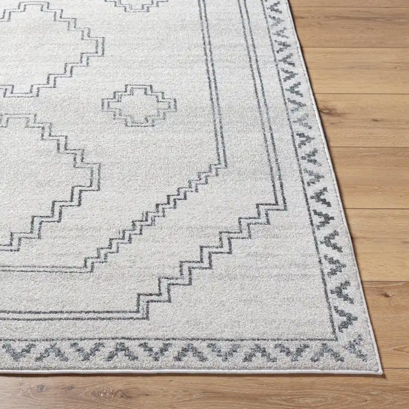 Alpharetta Machine Woven Rug - Livabliss