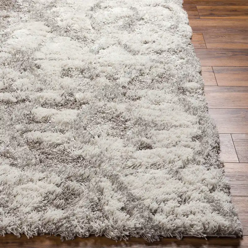 Alta Shag Machine Woven Rug - Livabliss