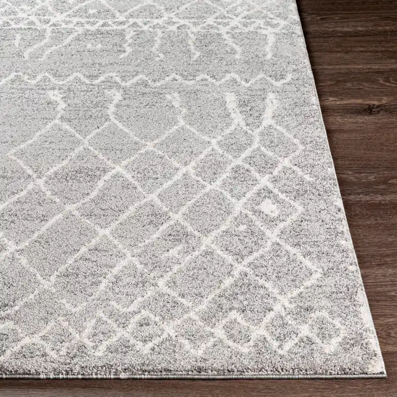 Andorra Machine Woven Rug - Livabliss
