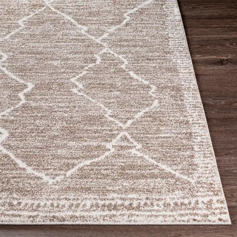 Andorra Machine Woven Rug - Livabliss