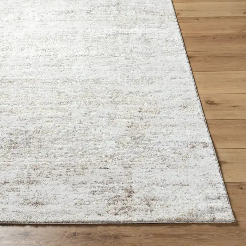 Andorra Plus Machine Woven Rug - Livabliss