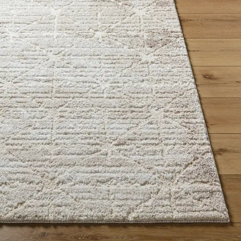 Andorra Plus Machine Woven Rug - Livabliss