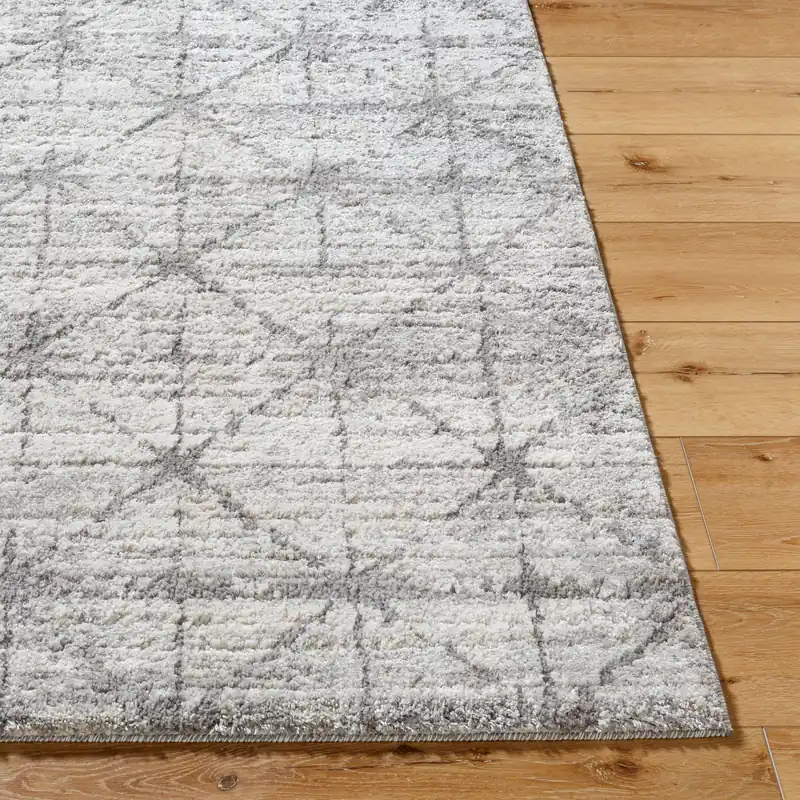 Andorra Plus Machine Woven Rug - Livabliss