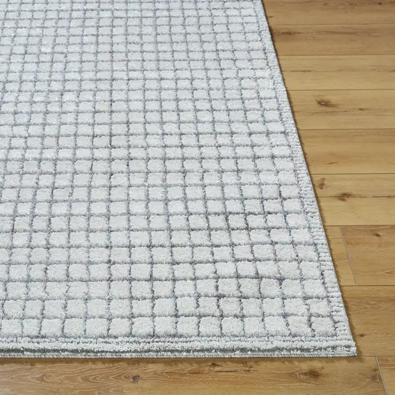 Andorra Plus Machine Woven Rug - Livabliss
