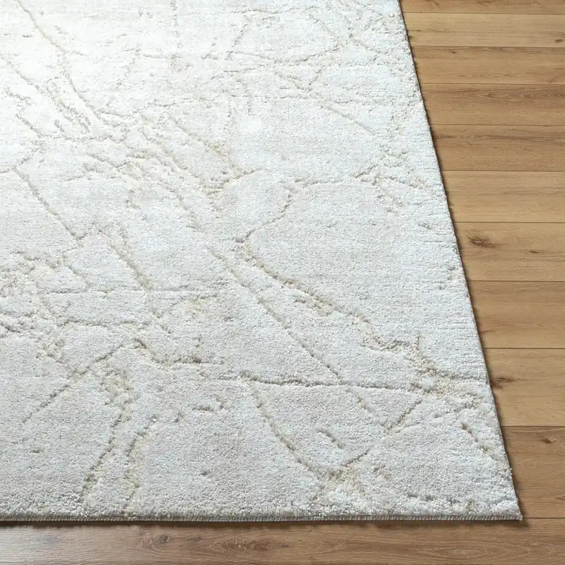 Andorra Plus Machine Woven Rug - Livabliss