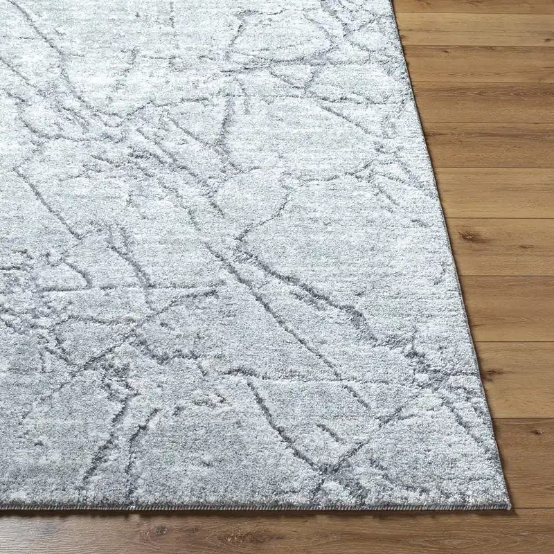 Andorra Plus Machine Woven Rug - Livabliss