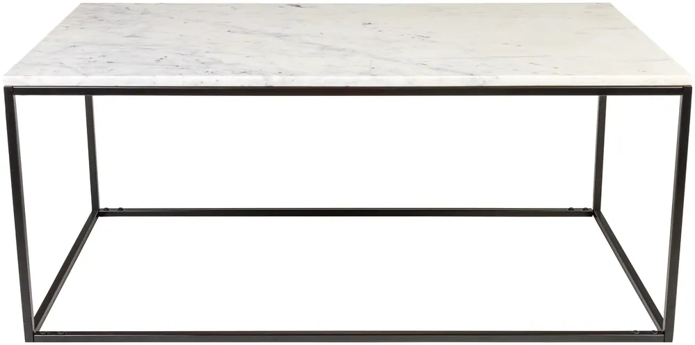 Aryaa Coffee Table - Livabliss