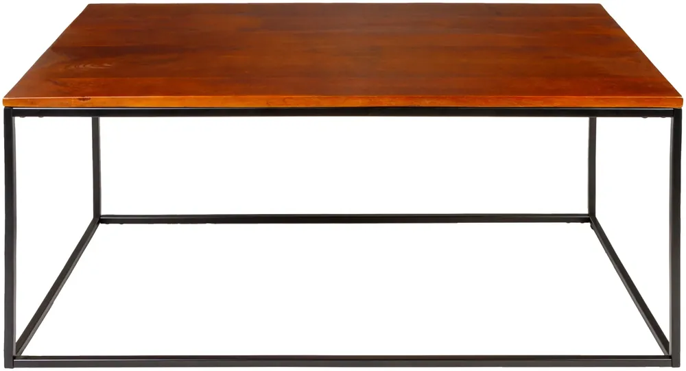 Aryaa Coffee Table - Livabliss