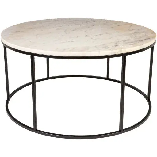 Aryaa Coffee Table - Livabliss