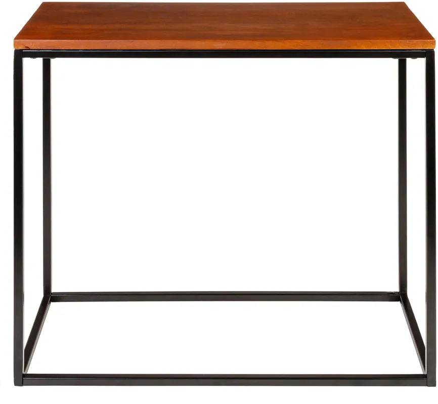 Aryaa End Table - Livabliss