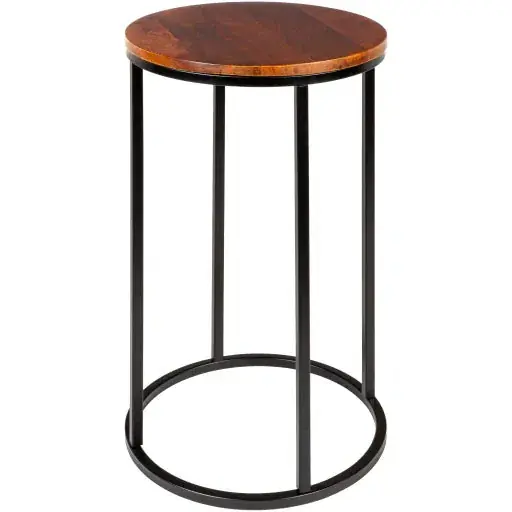 Aryaa End Table - Livabliss