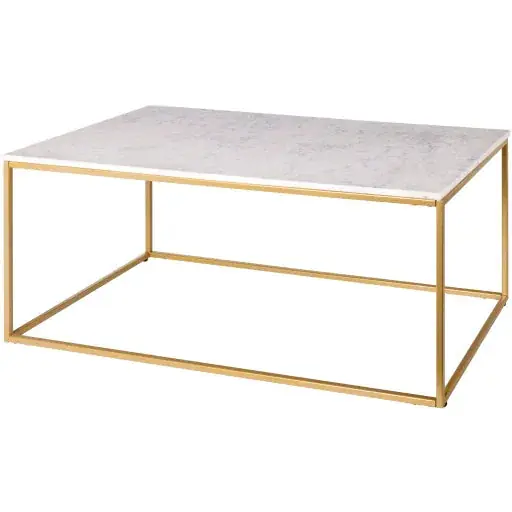 Aryaa Coffee Table - Livabliss