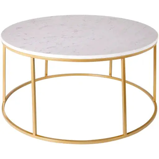 Aryaa Coffee Table - Livabliss